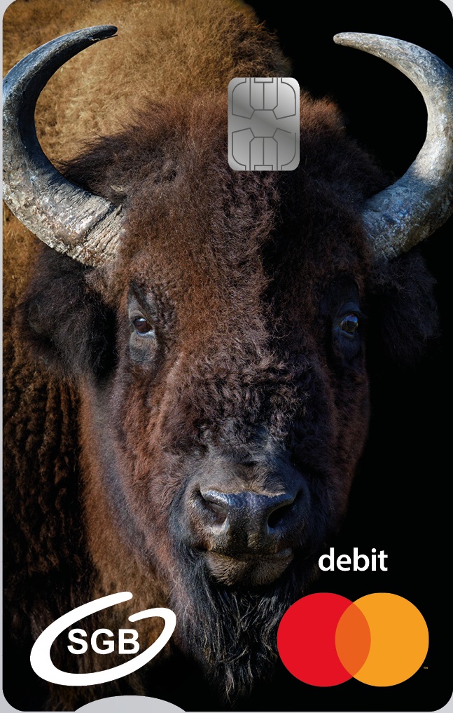 Karta MasterCard z Żubrem